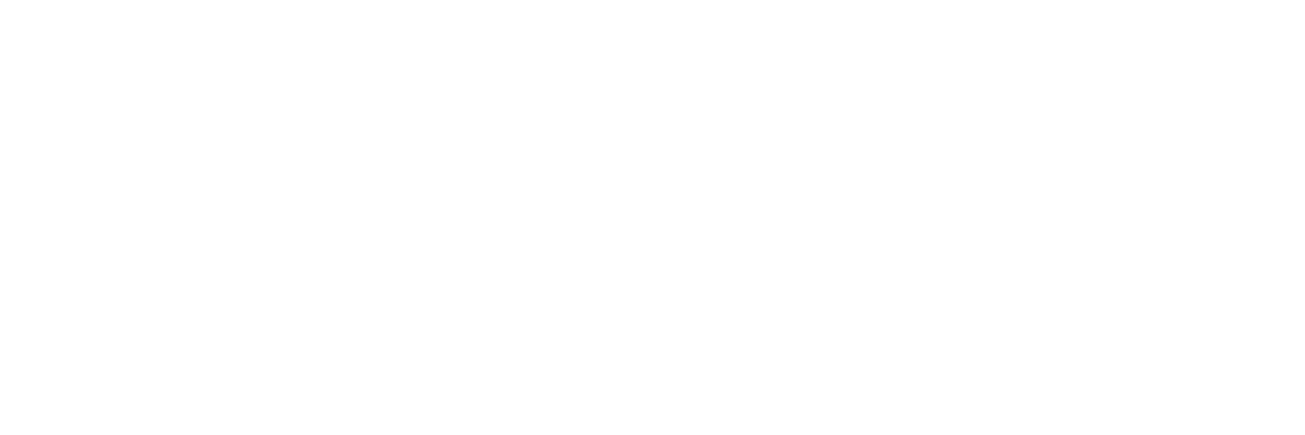 Wisy